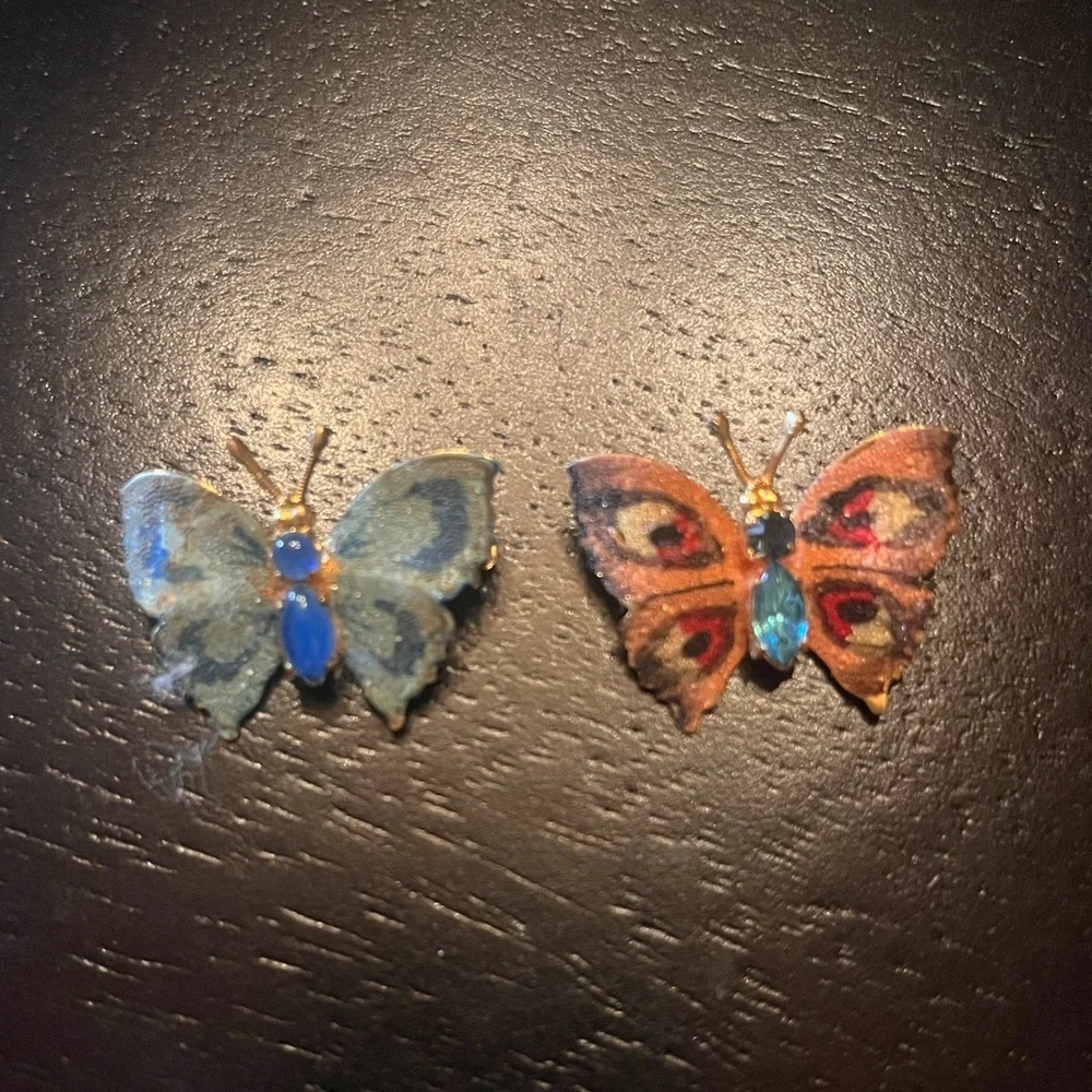 Vintage Butterfly Enamel Brooch Set